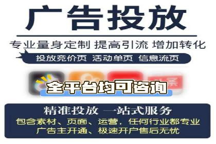行业领先企业如何运用SEM进行精准营销